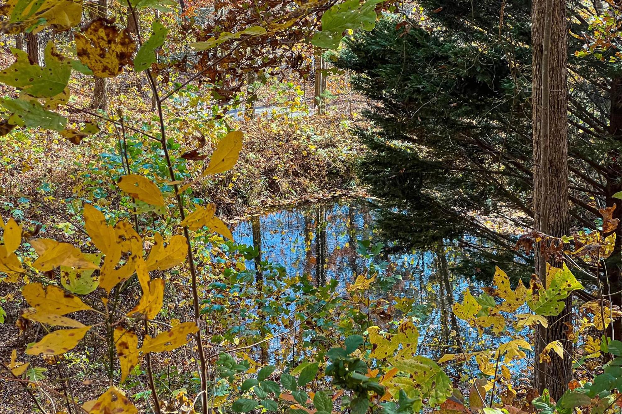 Best Kept Secret Blue Ridge Εξωτερικό φωτογραφία